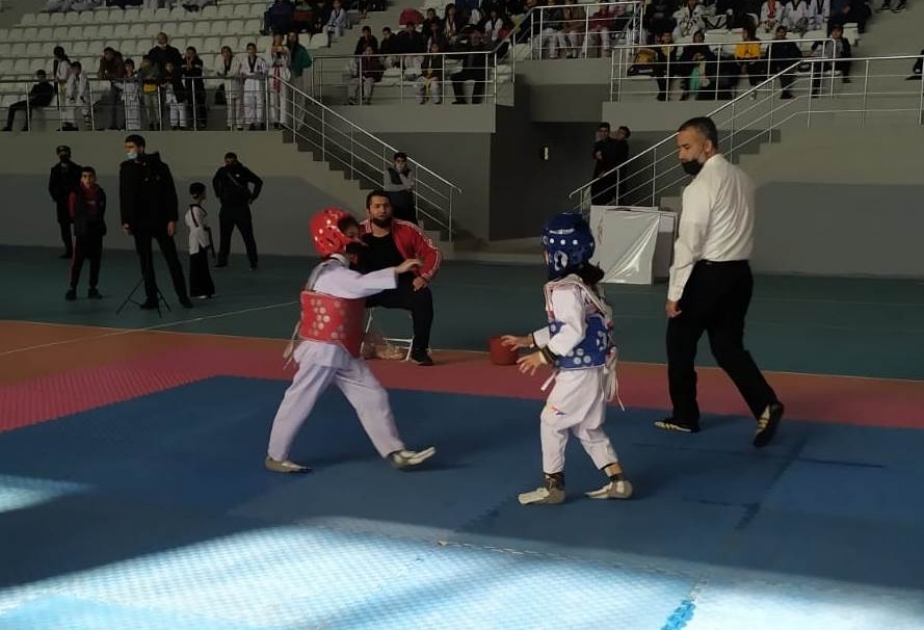 Taekvando üzrə Ağcabədi rayon turnirində 140 idmançı mübarizə aparıb