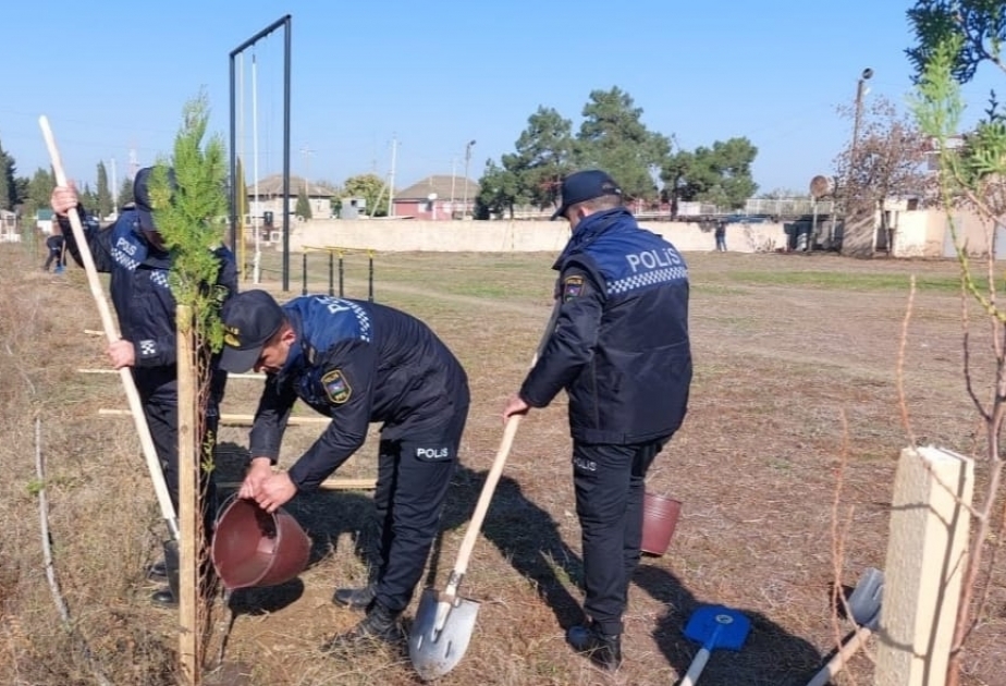 Biləsuvarın polis işçiləri Zəfər Günü ilə bağlı keçirilən aksiyada 100-dən çox müxtəlif növ ağac əkiblər