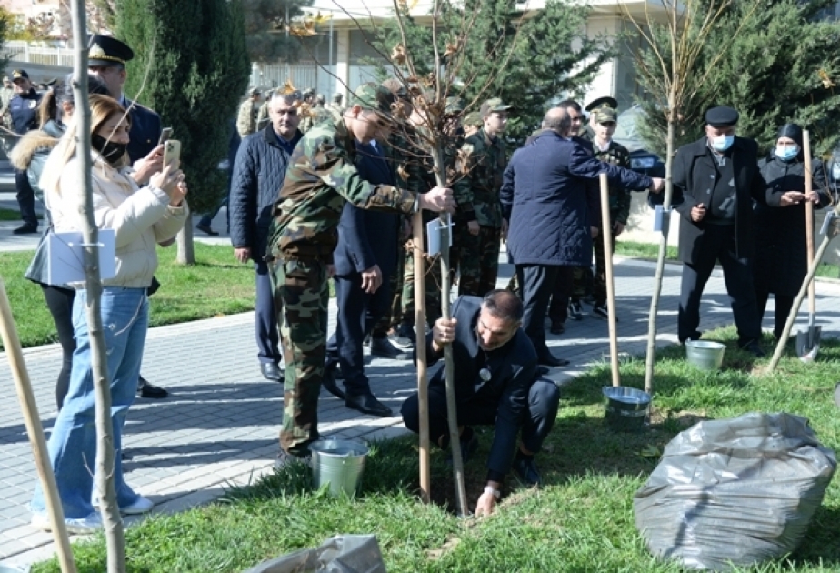 Nəsimi rayonunda Zəfər Günü münasibətilə ağacəkmə aksiyası keçirilib