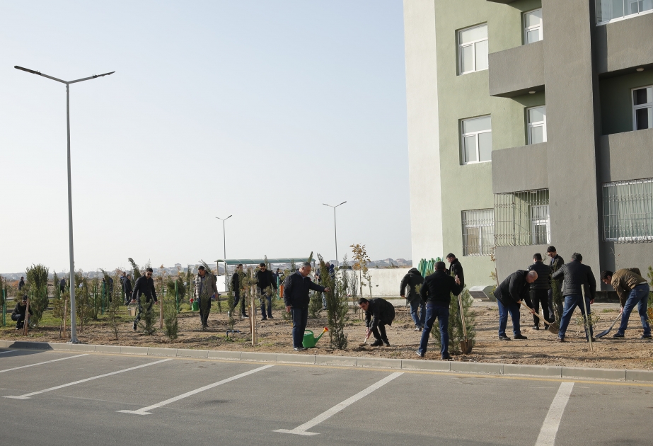 Hövsan Yaşayış Kompleksinin ərazisində Zəfər Gününə həsr olunmuş ağacəkmə aksiyası keçirilib