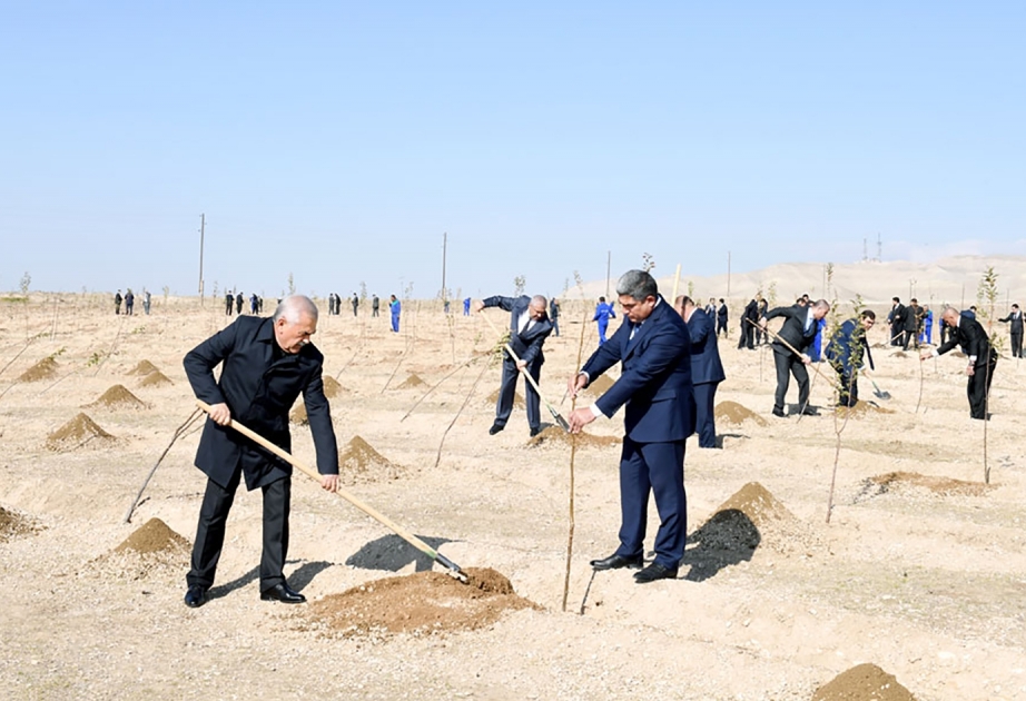 Naxçıvanda Zəfər Günü münasibətilə ağacəkmə keçirilib