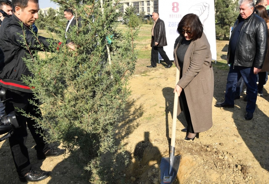 Zəfər Günü münasibətilə Milli Məclis tərəfindən Bakıda ağacəkmə aksiyası keçirilib