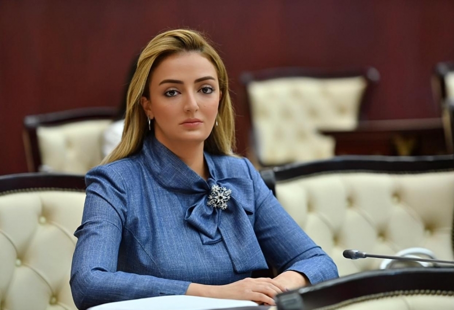 Croatian media publishes Azerbaijani MP’s article on country’s great victory in Karabakh