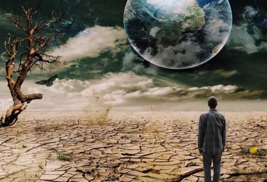 OMS: Los países no están preparados para proteger la salud pública de los efectos del cambio climático