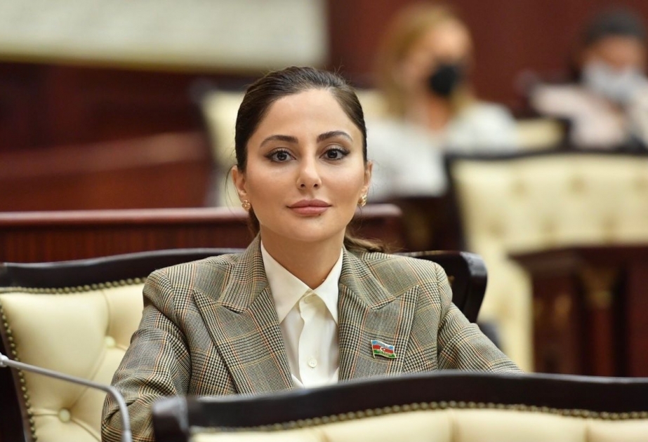 Əminə Ağazadə: Üçtərəfli Bəyanatda yer alan müddəalar Azərbaycanın tam Qələbəsini təsdiq edir