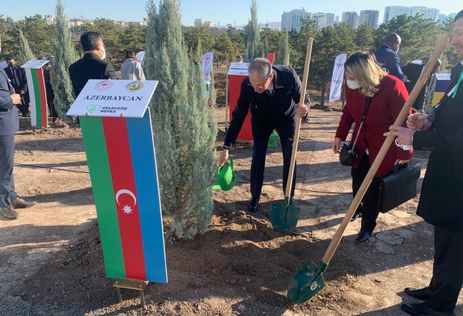 Türkiyədə keçirilən kütləvi ağacəkmə aksiyasında Azərbaycanın nümayəndə heyəti də iştirak edib