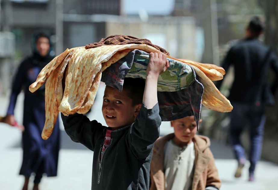 A million Afghan children at risk of dying amid acute malnutrition, WHO says