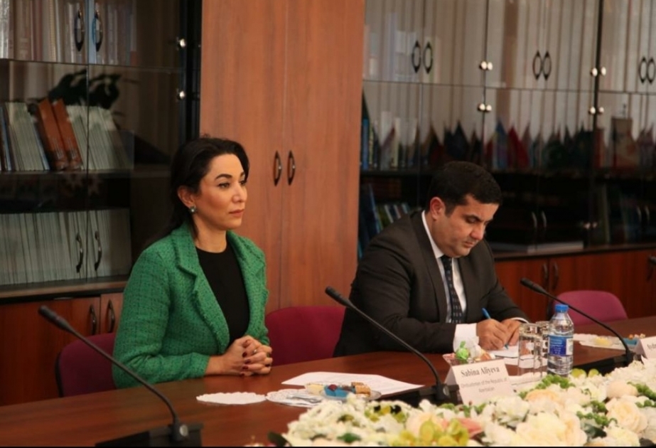 Ombudsman BMT-nin İnsan Hüquqları üzrə Ali Komissarlığının Cənubi Qafqazdakı nümayəndəsi ilə görüşüb
