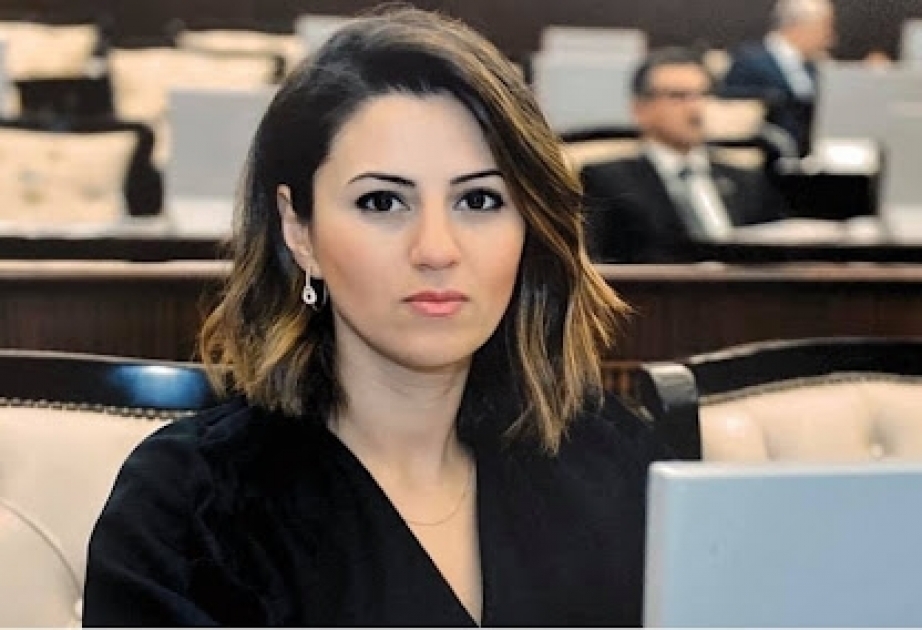 Sevinc Fətəliyeva: Türk birliyi artıq qlobal gücə çevrilib
