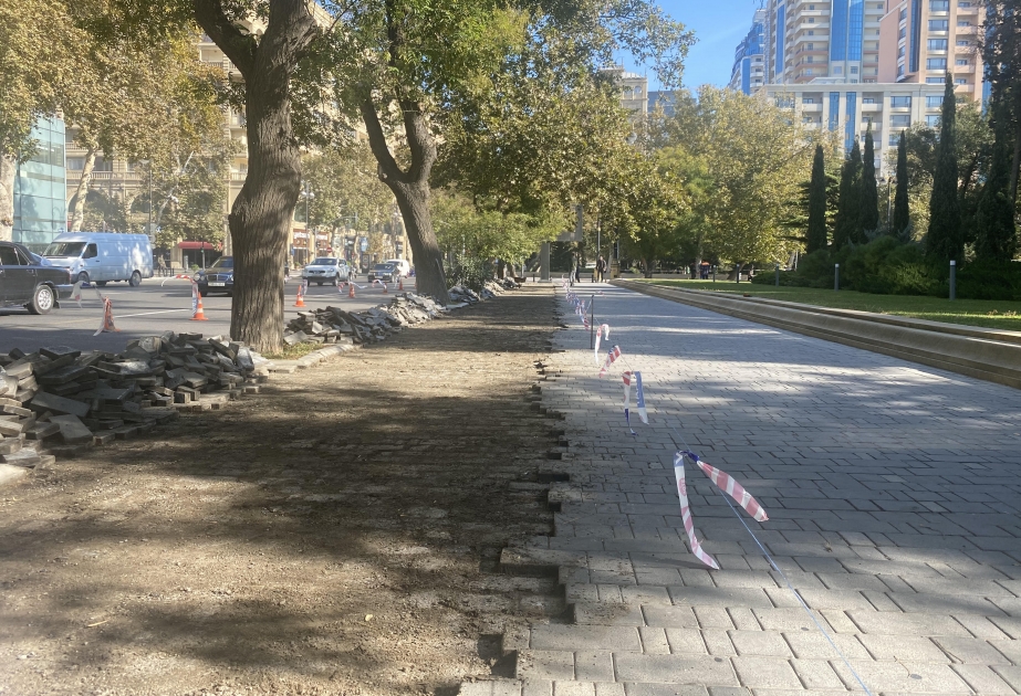 Bulvar ərazisini əhatə edən 7,5 kilometr uzunluğunda velosiped yolunun inşasına başlanılıb