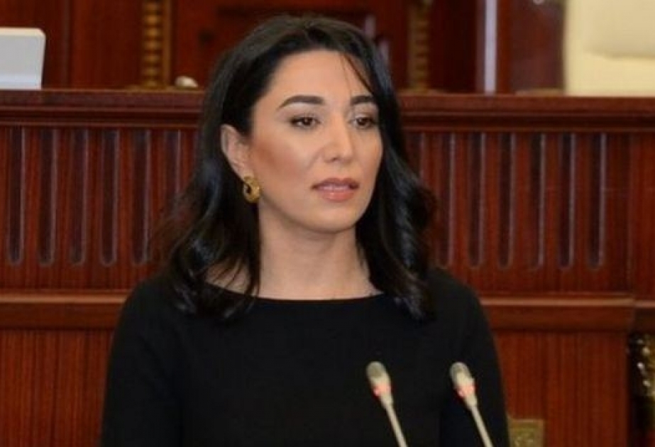 Ombudsman Şuşa yaxınlığında törədilmiş təxribatı pisləyib