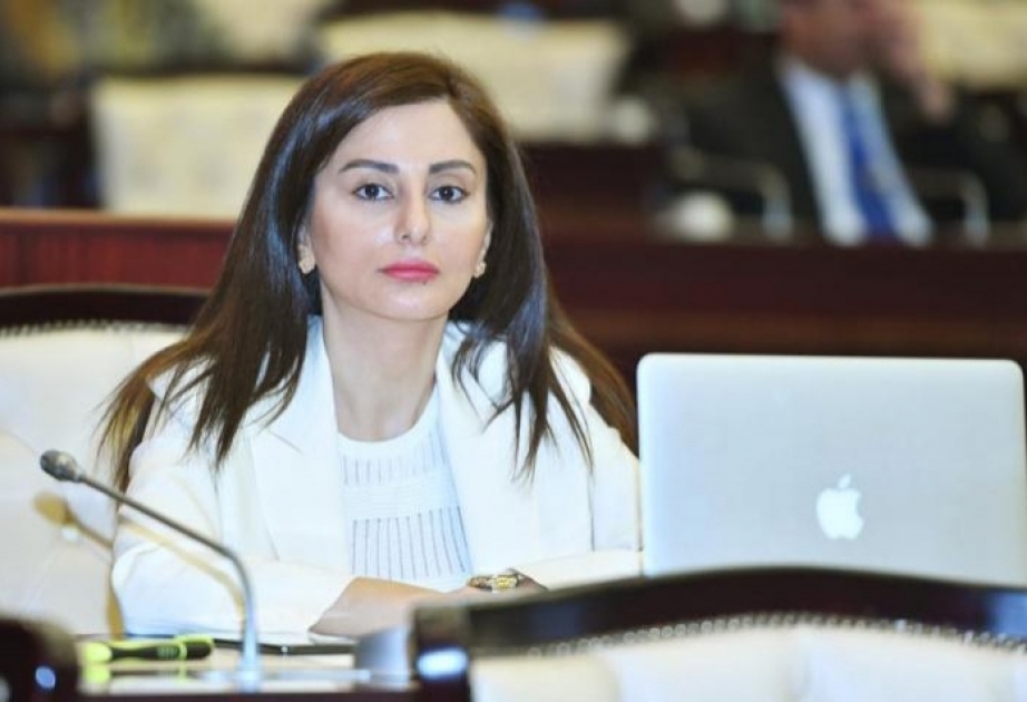 Deputat: Türkdilli dövlətlər arasında əlaqələrin inkişaf etdirilməsi istiqamətində mühüm işlərin həyata keçirildiyini görürük