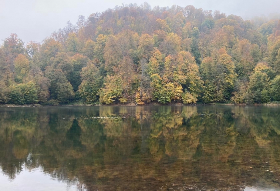 Le parc national de Göygöl dont se nourrit l’âme VIDEO
