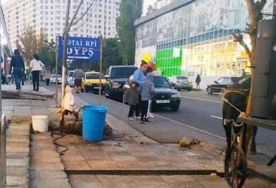 Xətai rayonunda qanunsuz fəaliyyət göstərən kəsim məntəqələri aşkarlanıb