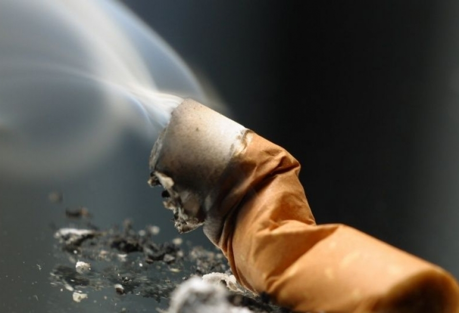 В ВОЗ призывают страны вкладывать больше средств в борьбу с курением