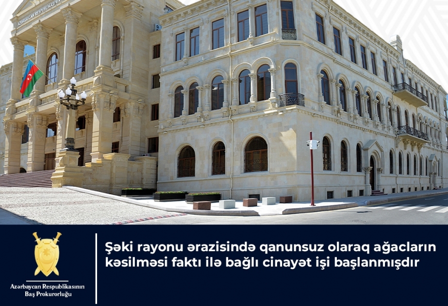 Şəki rayonunda 14 qovaq ağacının qanunsuz kəsilməsi ilə bağlı istintaq aparılır