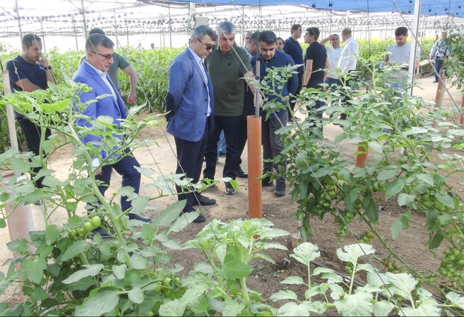 Azerbaiyán e Israel ampliarán la cooperación agrícola