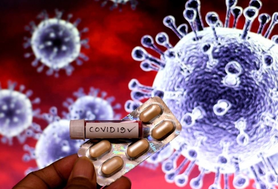 Российские ученые создали лекарство против COVID-19 на основе моноклональных антител