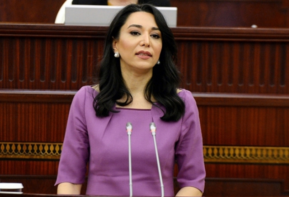Ombudsman Ermənistanın Azərbaycana qarşı növbəti təxribatı nəticəsində hərbçilərimizin şəhid olması və yaralanması ilə bağlı etiraz bəyanatı yayıb