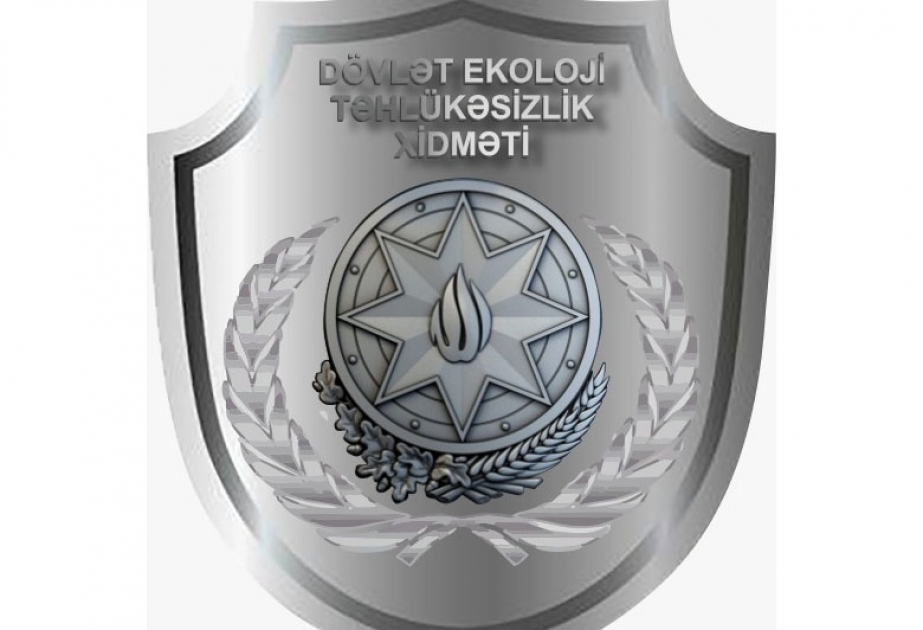 Qanunsuz yolla əldə edilmiş meşə materialı aşkarlanıb