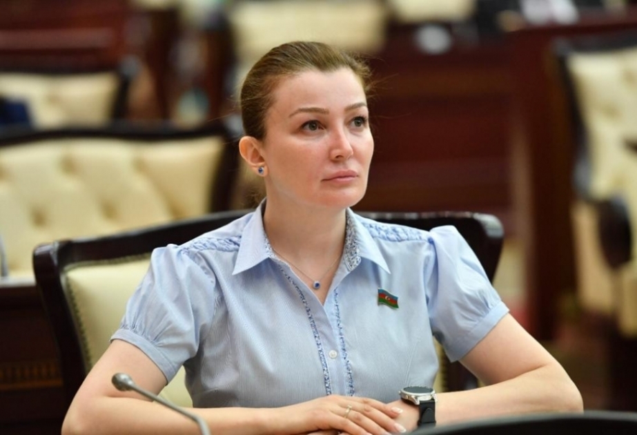 Deputat: Türkdilli dövlətlərin dünya üçün əhəmiyyəti bundan sonra daha da artacaq