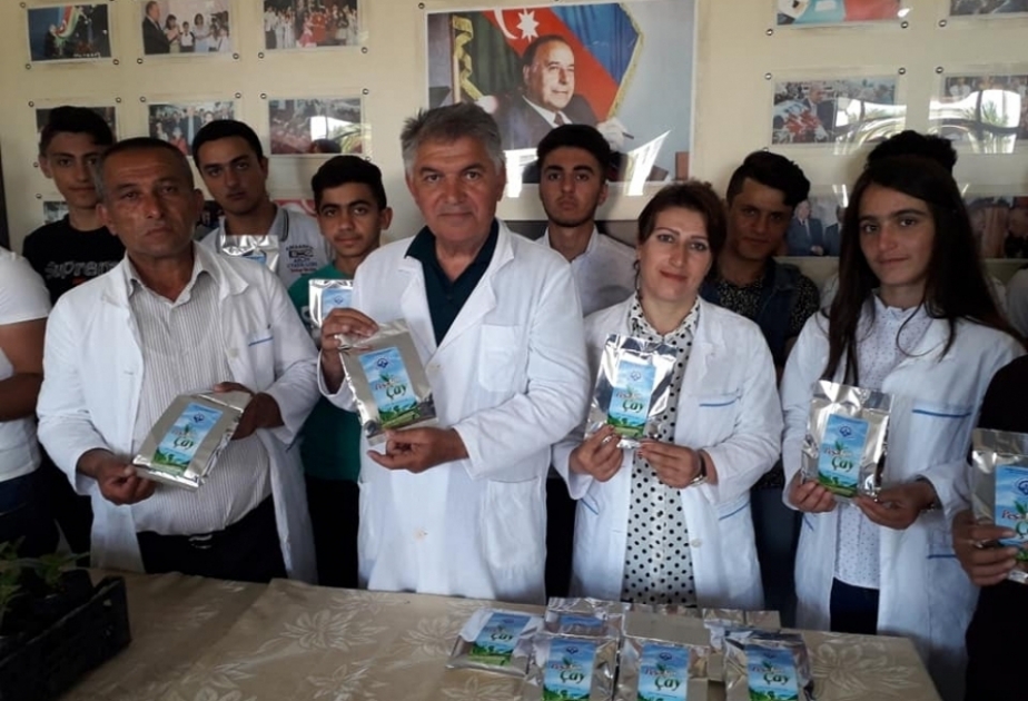 Lənkəran Peşə Liseyinin Meyvəçilik və Çayçılıq Elmi-Tədqiqat İnstitutu ilə əməkdaşlığı uğurla davam edir