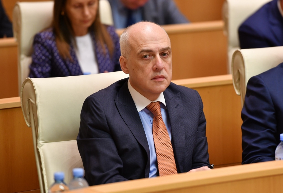 Gürcüstanın xarici siyasətinin növbəti 10 il üçün prioritetləri açıqlanıb