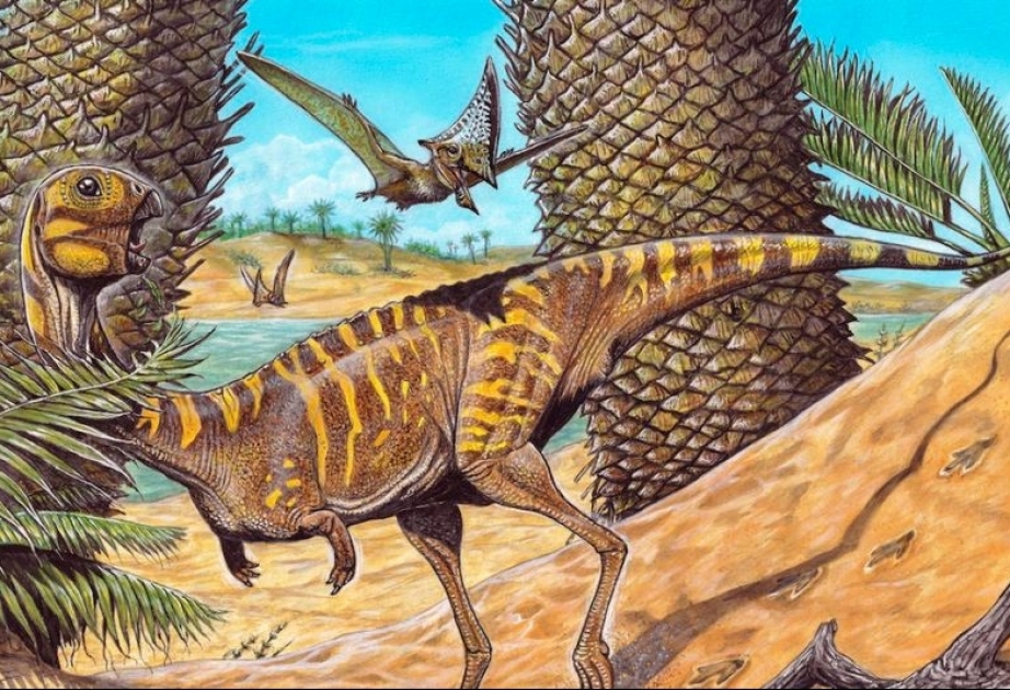 Fachleute in Brasilien neue Dinosaurierart entdeckt