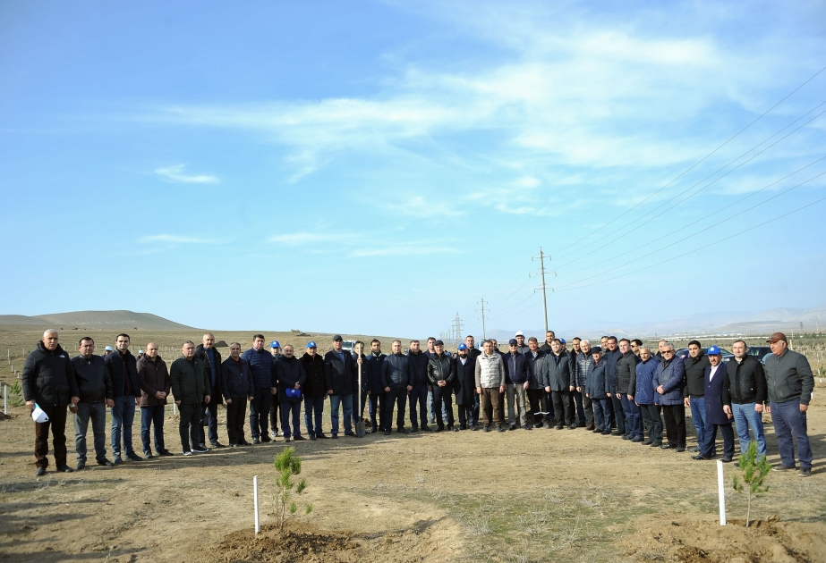YAP-ın təsis edilməsinin 29-cu ildönümü münasibətilə “Yaşıl Marafon” kampaniyası keçirilib