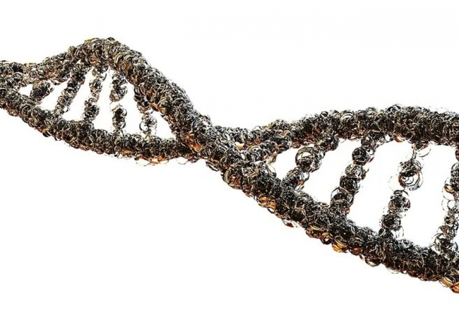Molekulyar bioloqlar immun sistemində psoriazın yaranması ilə bağlı olan gen müəyyən ediblər