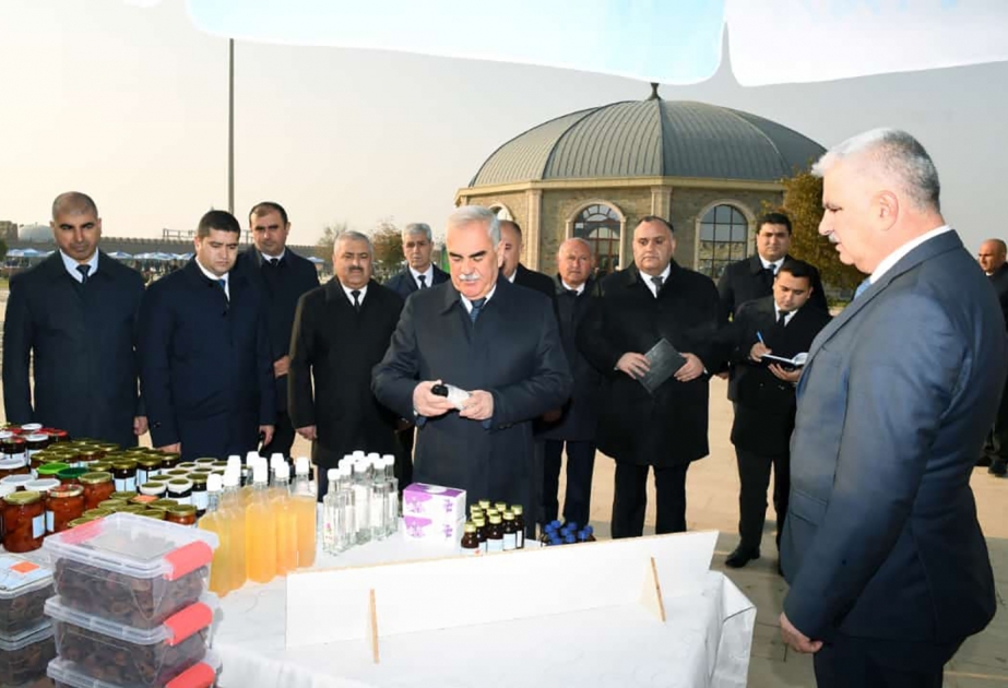 Naxçıvanda “Ailə təsərrüfatı məhsulları” satış yarmarkası keçirilib