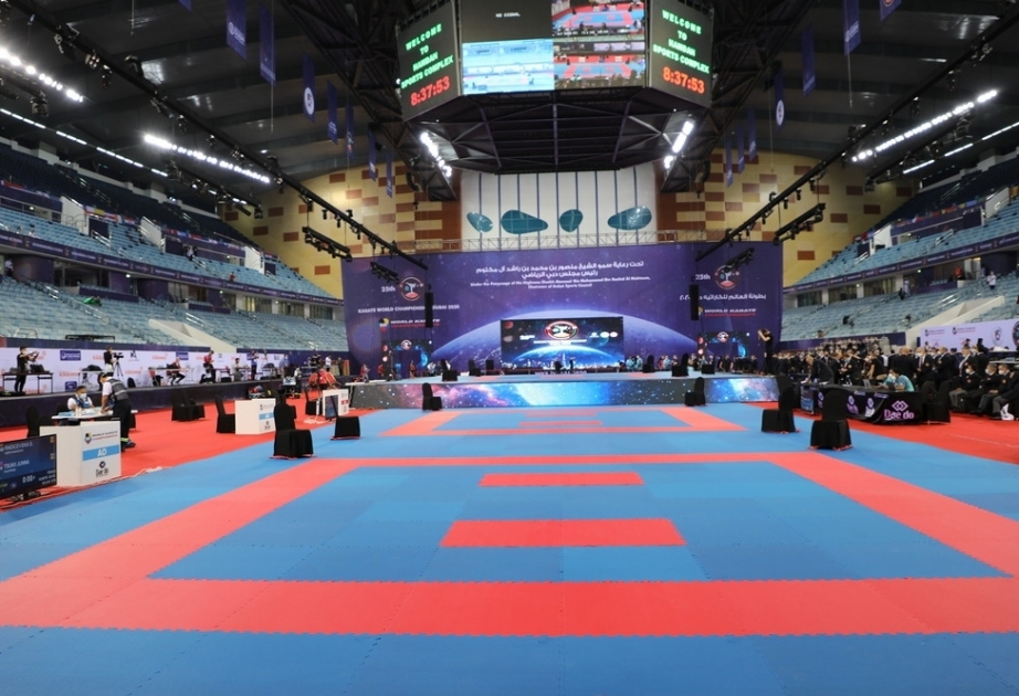 Наши паракаратисты завоевали на чемпионате мира две бронзовые медали