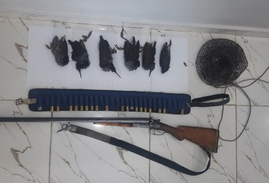Astara rayonunda qanunsuz ov edən şəxslər aşkarlanıb
