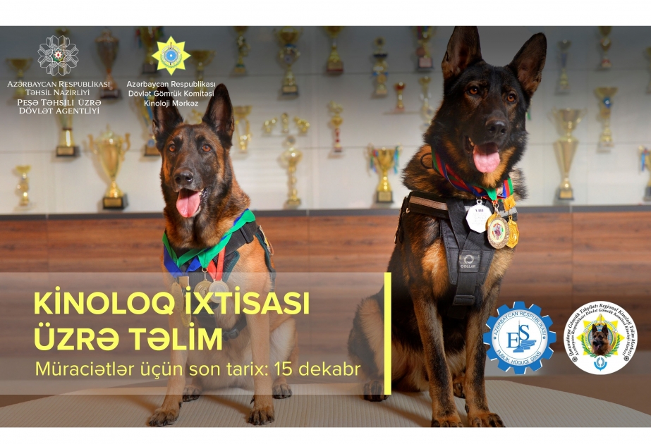 Peşə Təhsili üzrə Dövlət Agentliyi: Kinoloq ixtisası üzrə qısamüddətli təlimlərə müraciət qəbul olunur