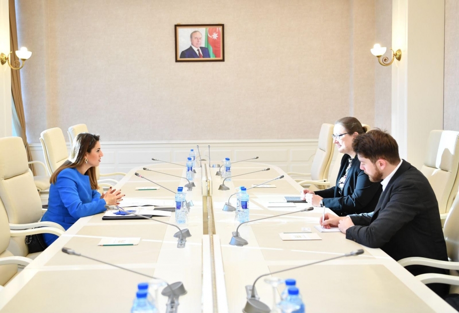 Avropa İttifaqının Dialoq layihəsinin nümayəndələri Milli Məclisdə olublar