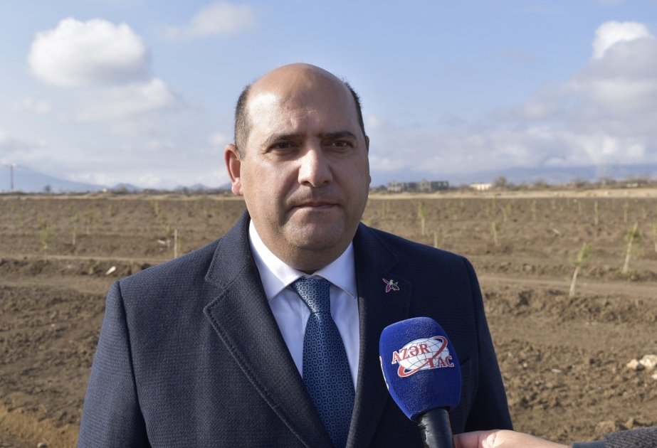 Ağdam şəhərində 4 meşə sahəsi və 23 park salınacaq