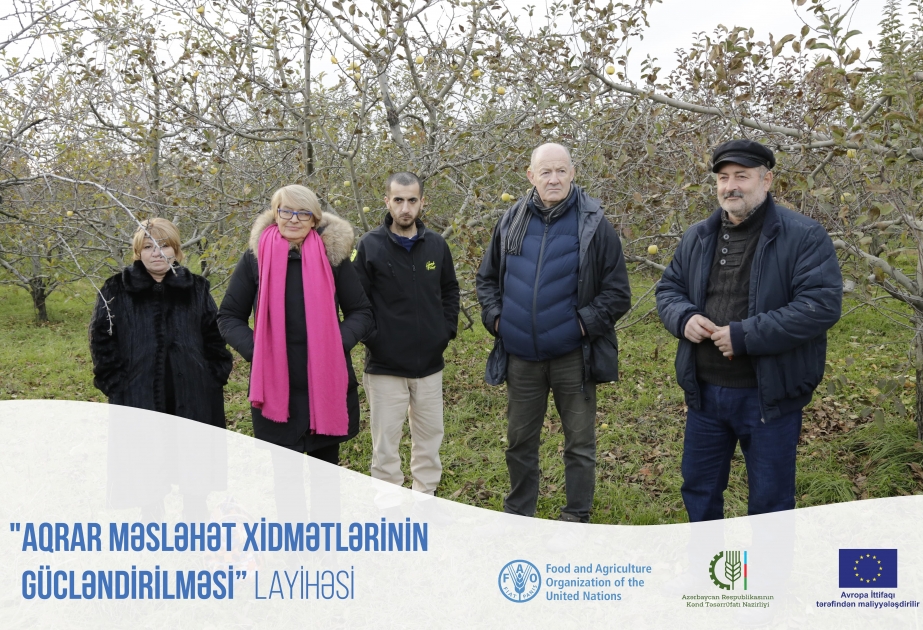 Aqrar məsləhət xidmətini bütün fermerlər üçün əlçatan edəcək innovativ həllər axtarılır