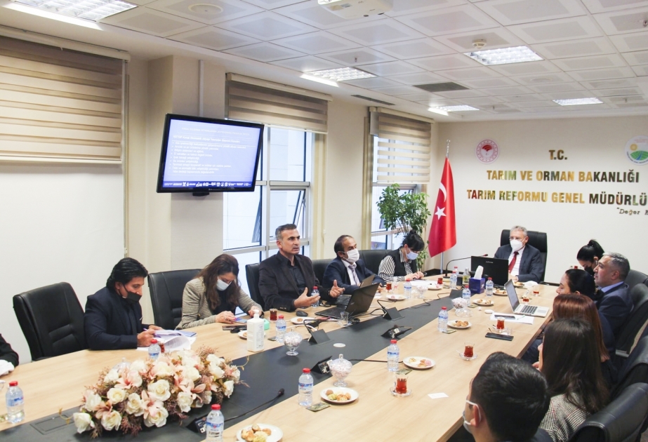 Azerbaijan and Turkey expand cooperation in agricultural sphere