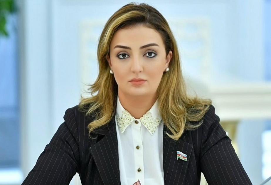Deputat: Soçi görüşünü sülh prosesinə töhfə verən təmas kimi qiymətləndirmək olar