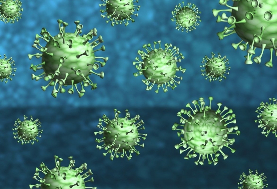 ВОЗ предупреждает переболевших коронавирусом о риске заражения штаммом «омикрон»