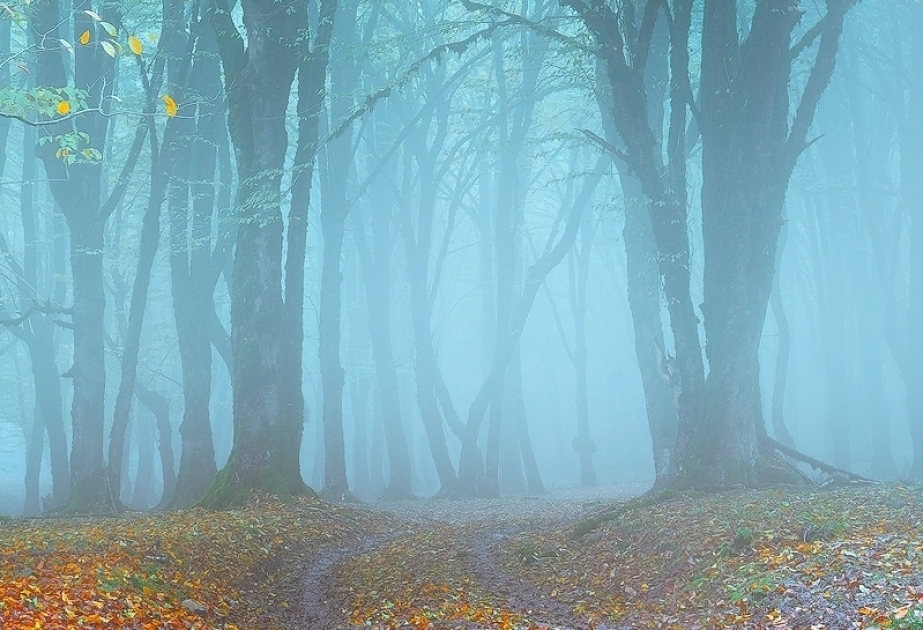 Farbenprächtige Herbstlandschaft von Oguz in Fotos