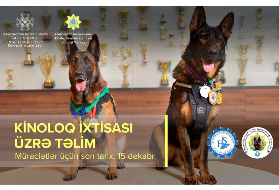 Kinoloq ixtisası üzrə qısamüddətli təlimlər təşkil ediləcək