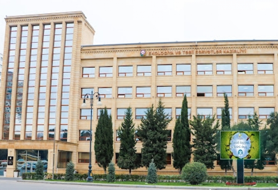 Qanunsuz qazıntı işləri aparan şirkət barəsində tədbir görülüb