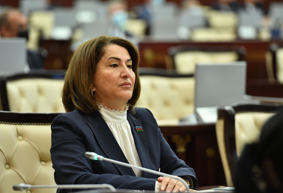 Tamam Cəfərova: Laçında hava limanının inşası bölgənin beynəlxalq statusunu artıracaq