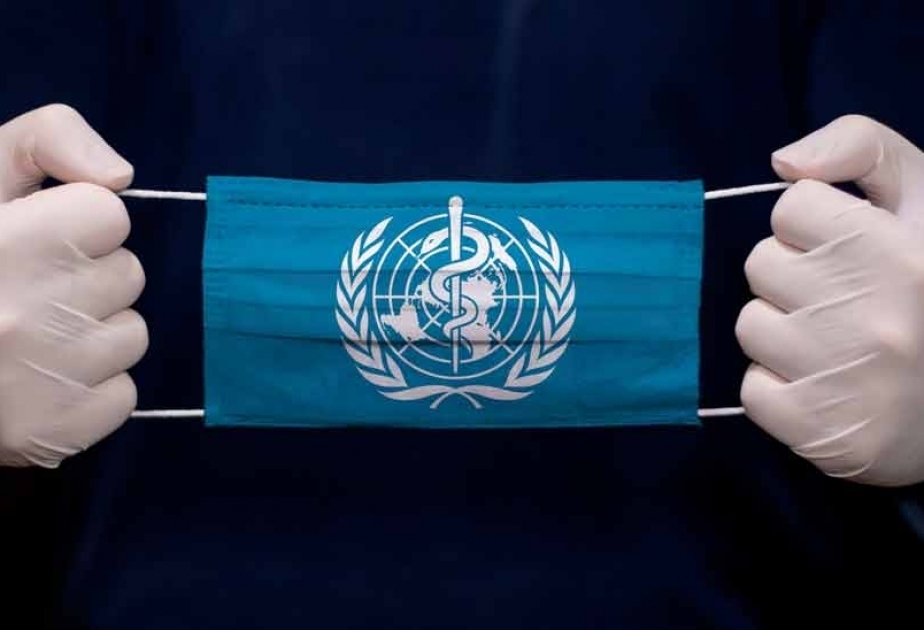 WHO chief hails formation of body to negotiate global pandemic treaty