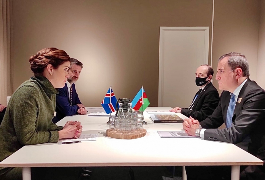 Empresas islandesas están dispuestas a cooperar con Azerbaiyán en el campo de las energías renovables