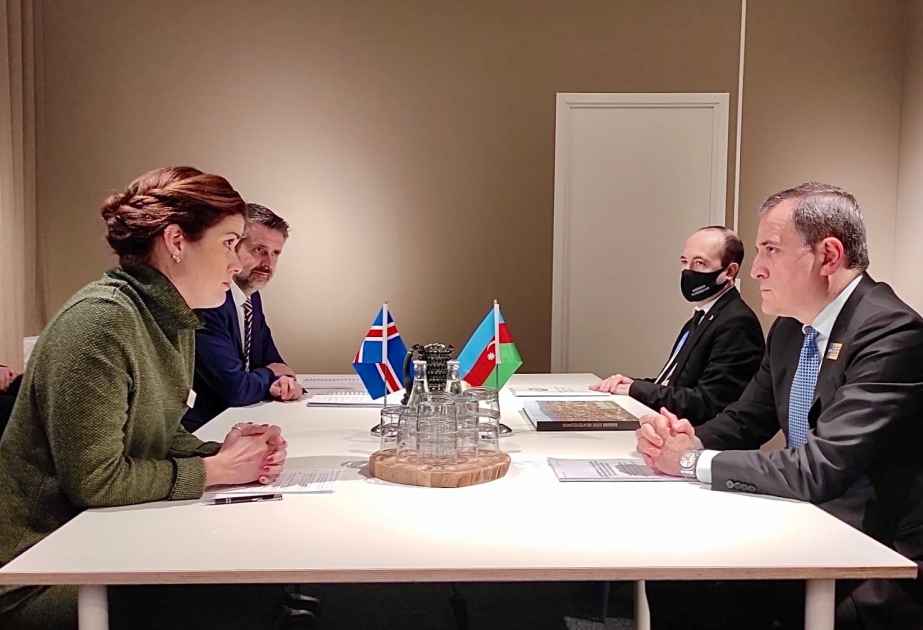 Исландские компании готовы осуществлять деятельность в Азербайджане