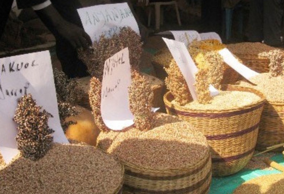 ФАО: цены на основные продукты питания растут четвертый месяц подряд