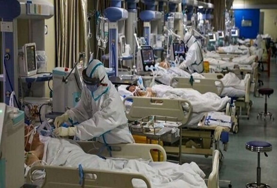 Covid-19 en Iran : 3 356 cas et 77 décès enregistrés en une journée