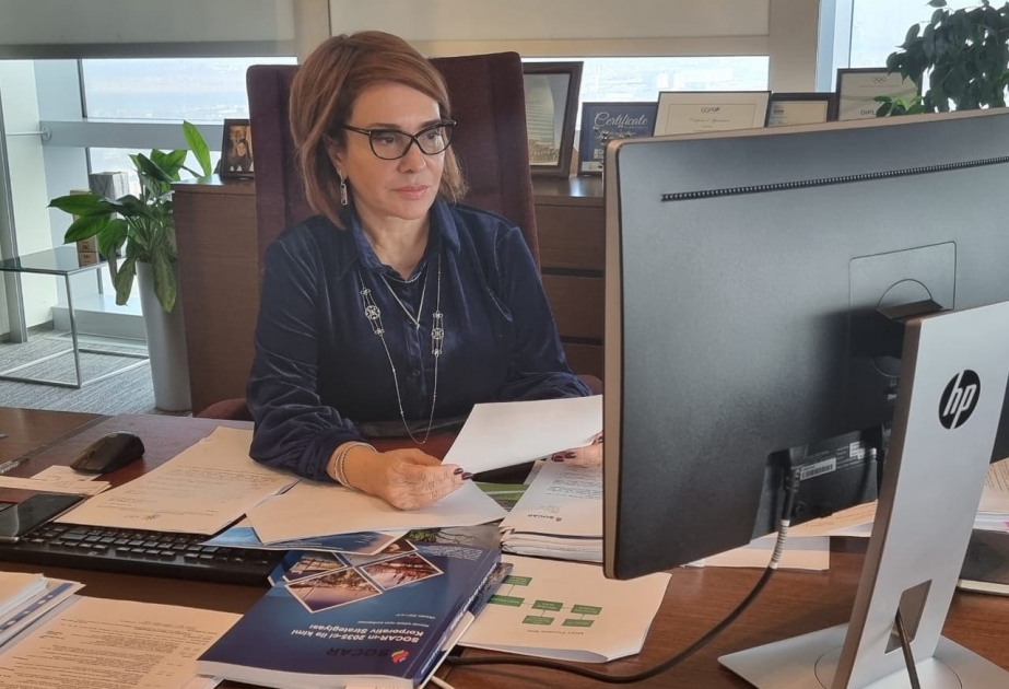 “Xəzər Regionunun Ətraf Mühitinin Mühafizəsi Təşəbbüsü” İcra Komitəsinin növbəti iclası olub